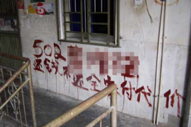 柏乡融资清欠服务